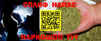 индика Заводоуковск