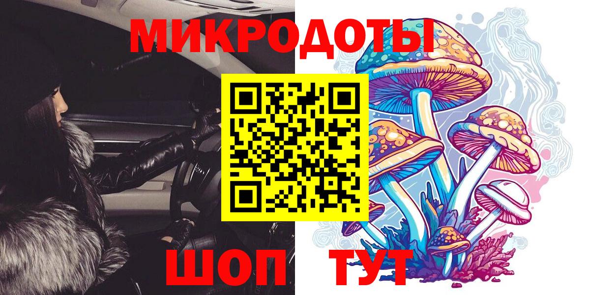 Псилоцибиновые грибы прущие грибы  Вход с VPN  Псилоцибиновые грибы прущие грибы  Миллерово 